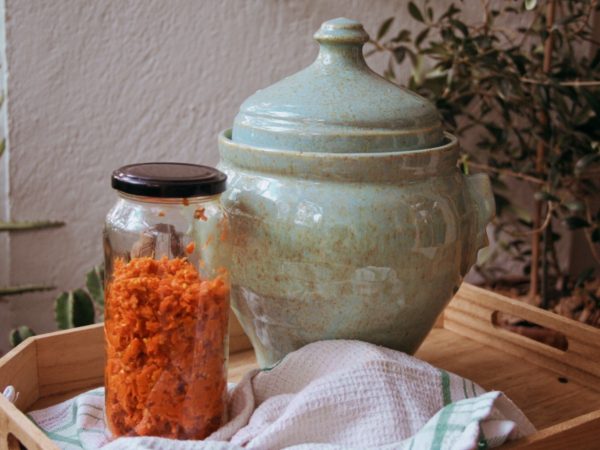 ZANAHORIAS FERMENTADAS CON&nbsp;ESPECIAS