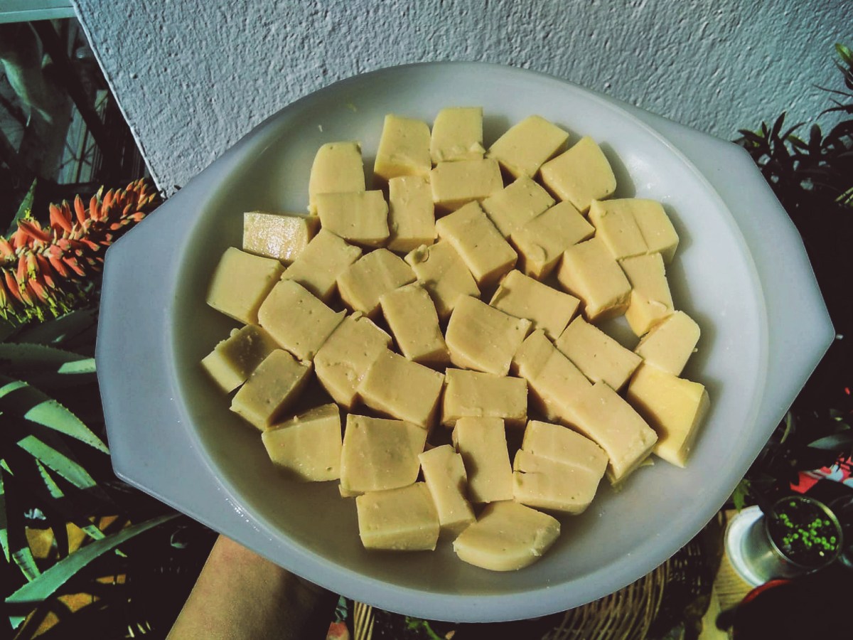 TOFU DURO DE GARBANZOS Y TOFU&nbsp;AGRIDULCE