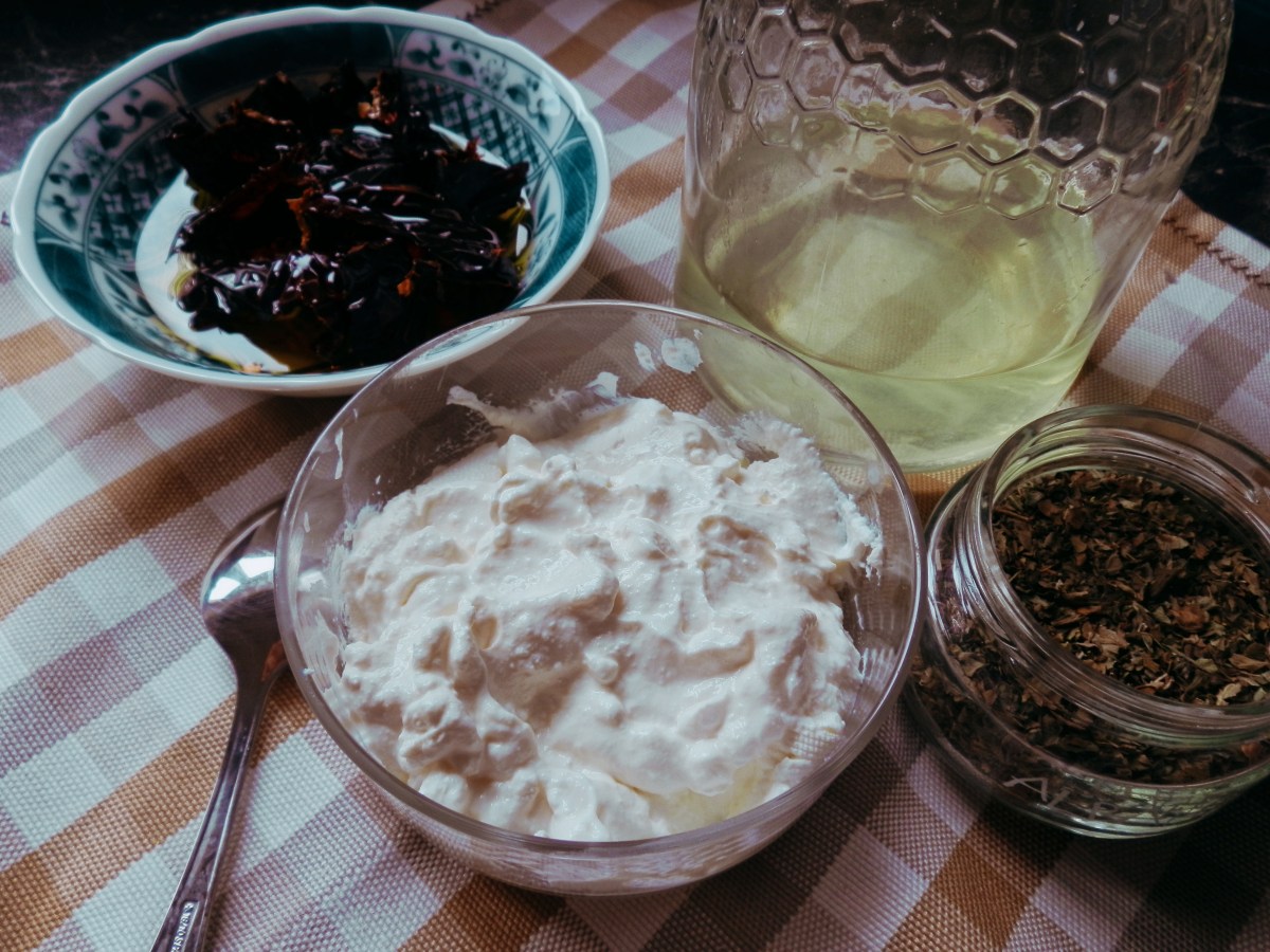 KEFIR Y QUESO DE UNTAR DE&nbsp;KEFIR