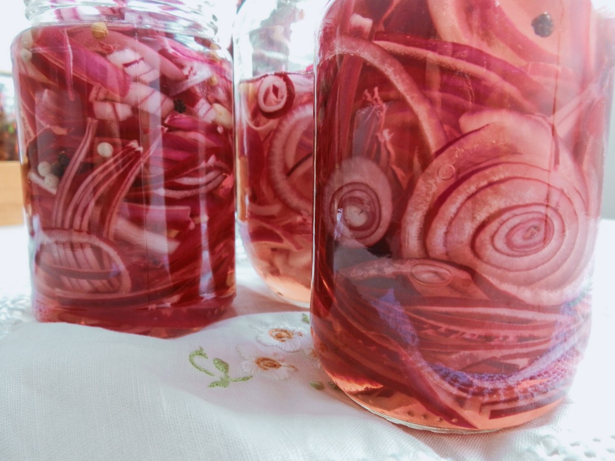 CEBOLLA MORADA ENCURTIDA